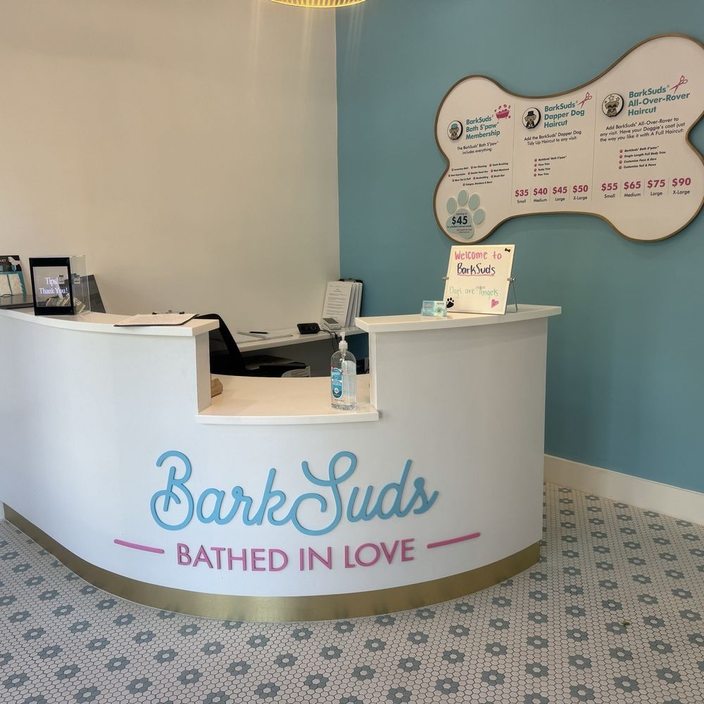 BarkSuds - Pet Groomers Near Me - Lithia, Florida