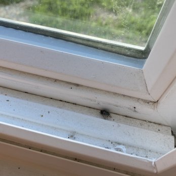 Prime Cleaning Enterprise - Window sill after they're "deep Clean" service - Home Cleaning Near Me Prime Cleaning Enterprise - Window sill after they're "deep Clean" service - Home Cleaning Near Me