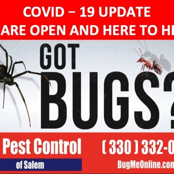 Aid Pest Control of Salem - Pest Control Near Me - Salem, Ohio Aid Pest Control of Salem - Pest Control Near Me - Salem, Ohio