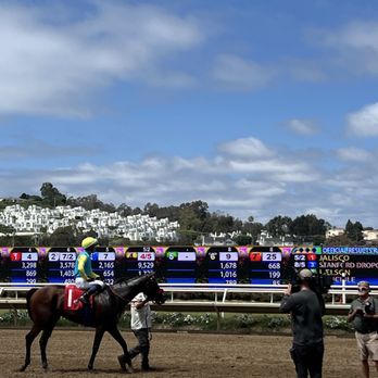 Brigantine - Race 1 Winner - Seafood Near Me - Del Mar, California Brigantine - Race 1 Winner - Seafood Near Me - Del Mar, California