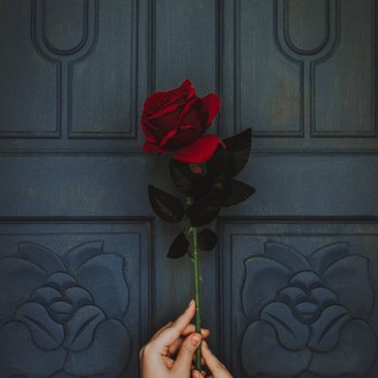 Emerald Gardens Flowers - #supportlocalflorist #localvdaydelivery #localroses - Florists Near Me - Durham, North Carolina Emerald Gardens Flowers - #supportlocalflorist #localvdaydelivery #localroses - Florists Near Me - Durham, North Carolina