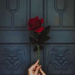 Emerald Gardens Flowers - #supportlocalflorist #localvdaydelivery #localroses