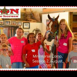 Luton Riding Academy - Come to horse camp this summer!