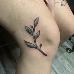 Mesmerized Tattoo Studio - Vine with shading around the knee