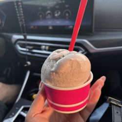La Michoacana Sonmex - Chocolate abuelita & gansito ice cream. Top tier combo