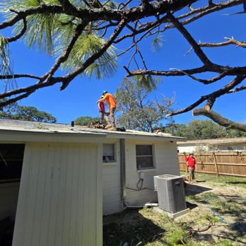 Monarch Solutions Tree Services and Landscaping - Tree Services Near Me