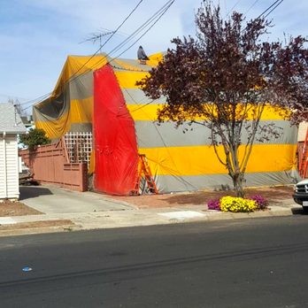 Proven Termite Solutions - Pest Control Near Me - San Jose, California
