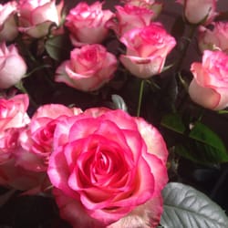 Blumen Richter