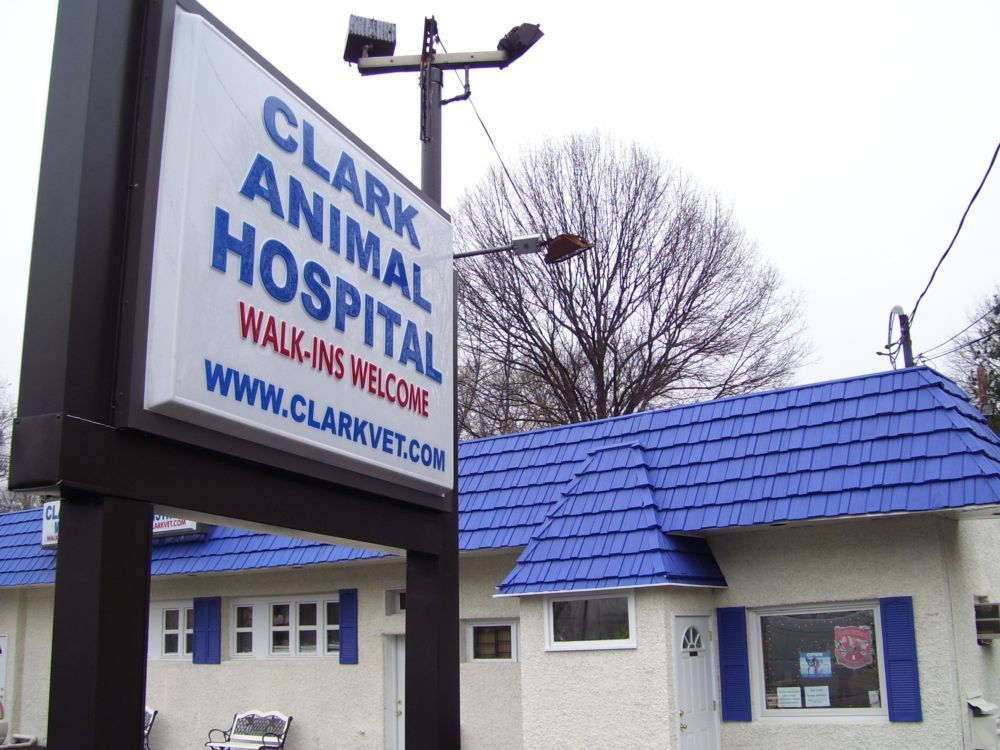 Clark Animal Hospital - pet boarding facility in Rahway, NJ