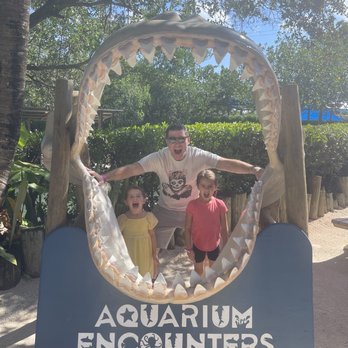 Florida Keys Aquarium Encounters - Aquariums Near Me - Marathon, Florida Florida Keys Aquarium Encounters - Aquariums Near Me - Marathon, Florida