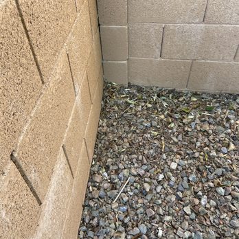 Sun Valley Yard Service & Landscape - Yard not blown out. We were charged for this. - Landscaping Near Me - Wittmann, Arizona Sun Valley Yard Service & Landscape - Yard not blown out. We were charged for this. - Landscaping Near Me - Wittmann, Arizona