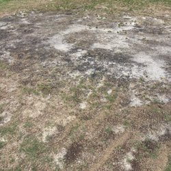 Tee box