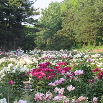 Nichols Arboretum - Parks Near Me - Ann Arbor, Michigan