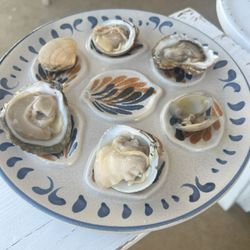 Loxe Mareiro 2.0 - Comparison of shells