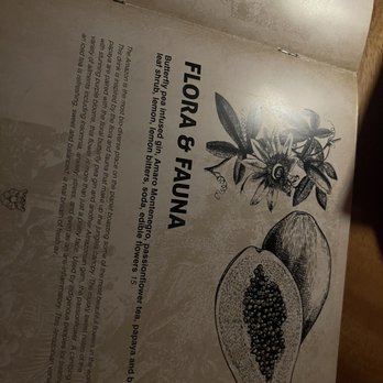 Amazonia - an open book with a picture of a papana - Cocktail Bars Near Me - Lakewood, Ohio