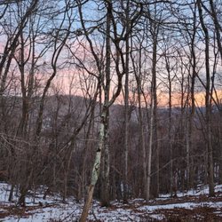 Blue Bear Mountain Camp
