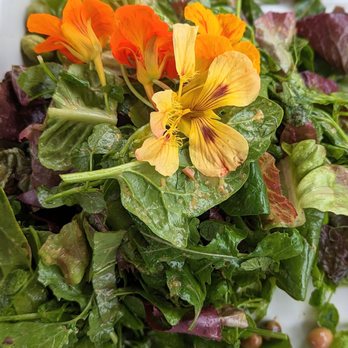 O'o Farms - The first course was this delicious salad, all made from farm ingredients - Food Tours Near Me - Kula, Hawaii