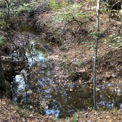 United Country East Texas Land and Homes - 67+/- acres in Cherokee County Texas