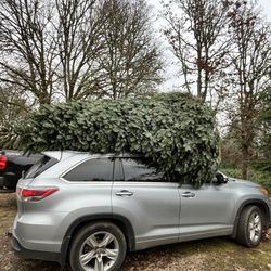 Tucker Tree Farm West - Provide advice for tying it down correctly