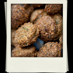 Pilpel - Falafel, Falafel and more Falafel!