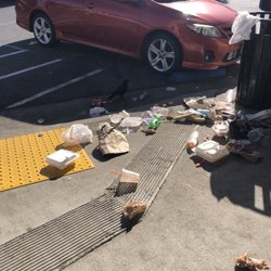 San Pablo City Hall - More trash and scavenger bird