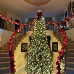 Stress Free Christmas Lights