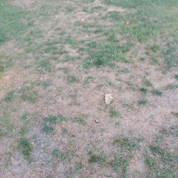 MissionGreen Services - Area not done, Back yard. - Lawn Services Near Me - Smithfield, Rhode Island