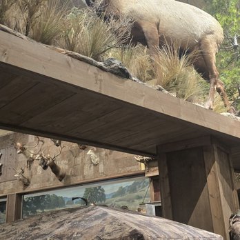 Bass Pro Shops - Accessories Near Me - Irvine, California
