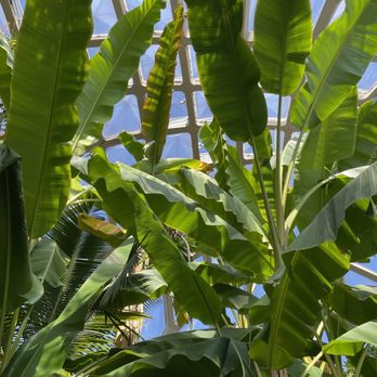 Denver Botanic Gardens - Tropical paradise - Botanical Gardens Near Me - Denver, Colorado