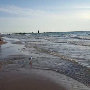 North Beach - and more seagulls - Beaches Near Me - South Haven, Michigan