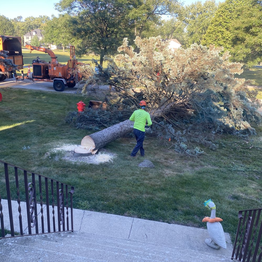 Homer Tree Care - Tree Services Near Me - Lockport, Illinois