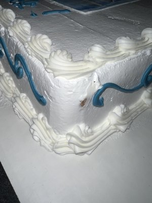 The Cake Gallery by null