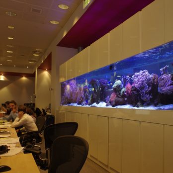 Aquatic Design Centre - Aquariums Near Me - London, XGL