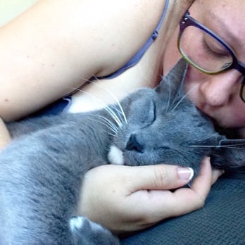 Montecito Veterinary Center - Charlie 2na meows for Montecito Vet! - Veterinarians Near Me - Santa Rosa, California Montecito Veterinary Center - Charlie 2na meows for Montecito Vet! - Veterinarians Near Me - Santa Rosa, California