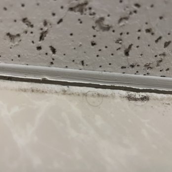 Wingate by Wyndham Memphis East - Black Mold - Hotels Near Me - Memphis, Tennessee Wingate by Wyndham Memphis East - Black Mold - Hotels Near Me - Memphis, Tennessee
