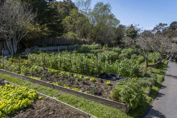 Stanford Inn & Resort on the Mendocino Coast by null