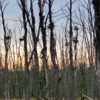 Beaver Hollow - Nesting Heron - Venues & Event Spaces Near Me - Bayfield, Wisconsin