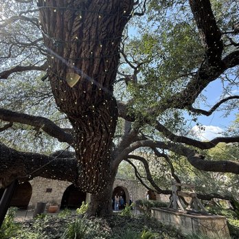 The Alamo - Museums Near Me - San Antonio, Texas The Alamo - Museums Near Me - San Antonio, Texas