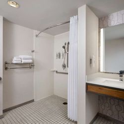 Hilton Garden Inn Detroit Downtown - Guest room bath