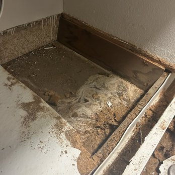 Haver Hill Apartments - Mold underneath sink that Luis tried to place wood over without remediating - Apartments Near Me - Fullerton, California Haver Hill Apartments - Mold underneath sink that Luis tried to place wood over without remediating - Apartments Near Me - Fullerton, California