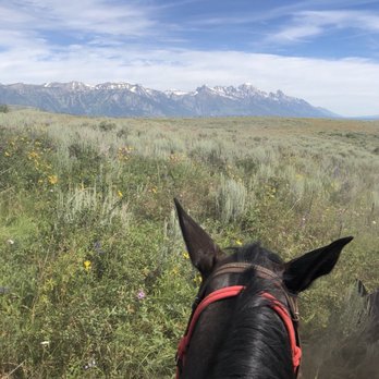 Spring Creek Ranch - Hotels Near Me - Jackson, Wyoming Spring Creek Ranch - Hotels Near Me - Jackson, Wyoming