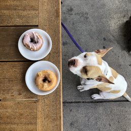 Vegan donuts Vegan donuts