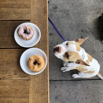 Case Coffee Roasters - Vegan donuts - Coffee Roasteries Near Me - Ashland, Oregon Case Coffee Roasters - Vegan donuts - Coffee Roasteries Near Me - Ashland, Oregon