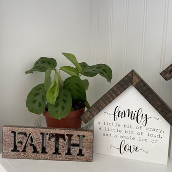Home Plantscapes - Prayer plant that's sprouting after 2 weeks - Nurseries & Gardening Near Me Home Plantscapes - Prayer plant that's sprouting after 2 weeks - Nurseries & Gardening Near Me