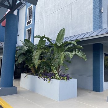 Best Western Plus Bradenton Gateway Hotel - Hotels Near Me - Bradenton, Florida Best Western Plus Bradenton Gateway Hotel - Hotels Near Me - Bradenton, Florida