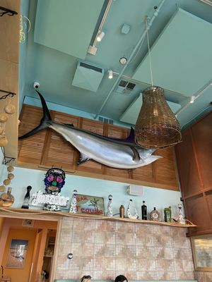 Prima Cantina & Tacos by null