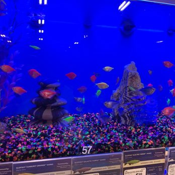 PetSmart - Pet Stores Near Me - Reno, Nevada PetSmart - Pet Stores Near Me - Reno, Nevada