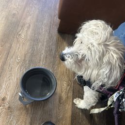 Pet friendly Pet friendly