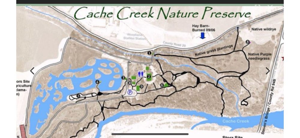 Cache Creek Nature Preserve Logo