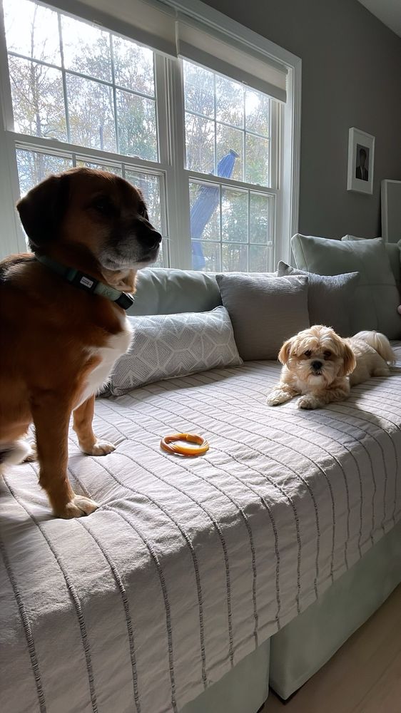 NORTHPOINT PETS & COMPANY Updated October 2024 28 Photos & 21